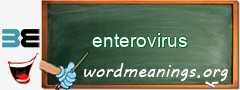 WordMeaning blackboard for enterovirus